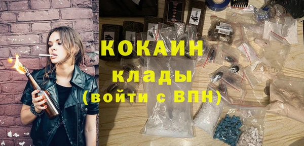 СК Осинники
