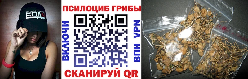 Галлюциногенные грибы мицелий Тайга