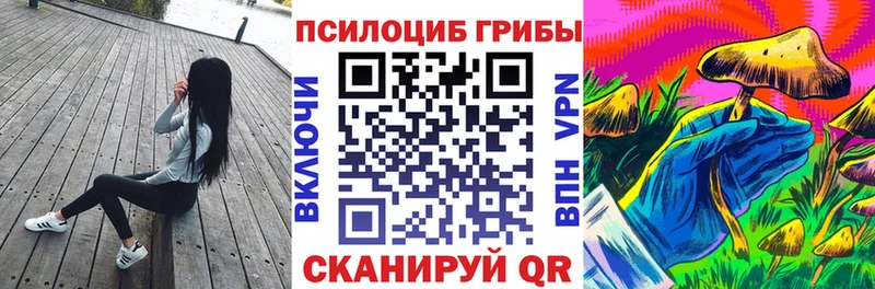 мориарти состав  Тайга  Галлюциногенные грибы Magic Shrooms 